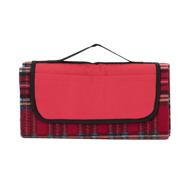 Plaid Picnic Blanket 19