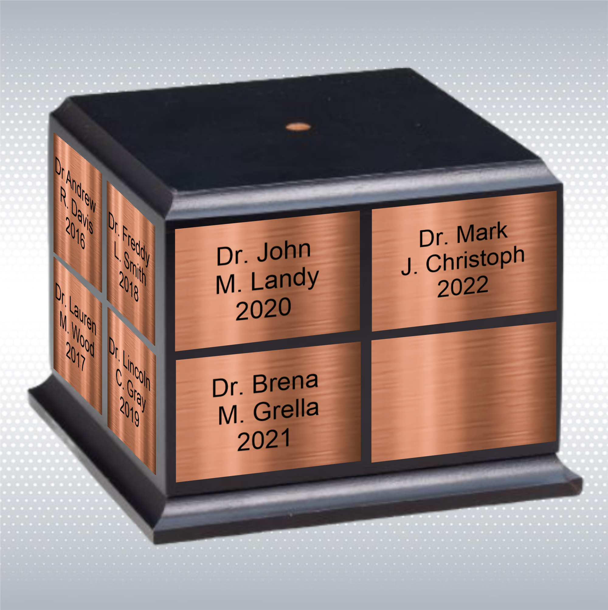 11 1/2" Premium Gallery Sculpture Bronze American Hero M.D. Doctor Physician Trophy Award 7