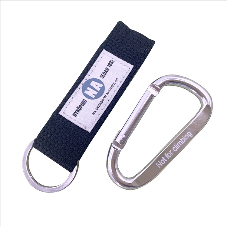 Lanyard Clip / Carabiner Keychain 2