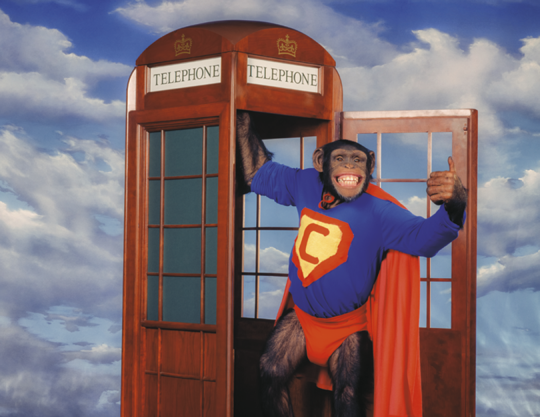 Triumph® Calendars Monkey Business Calendar 17