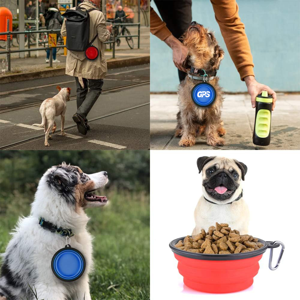 Tpe Foldable Dog Bowl 2