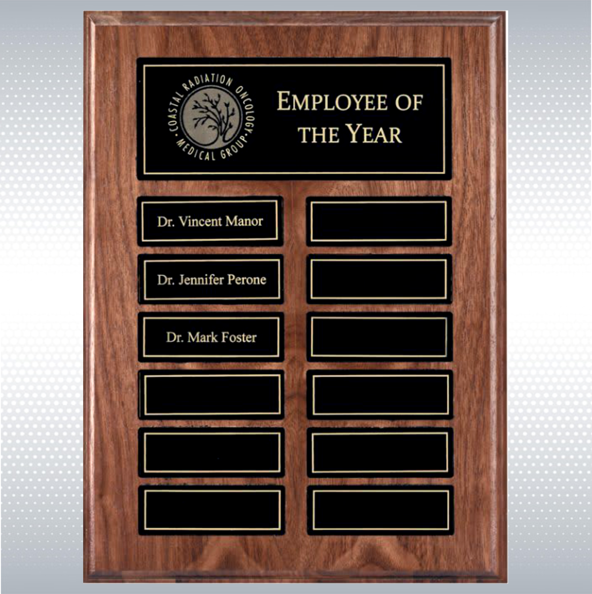 Recognition Pocket 12 Plate Perpetual Plaque (9" x 12") 7