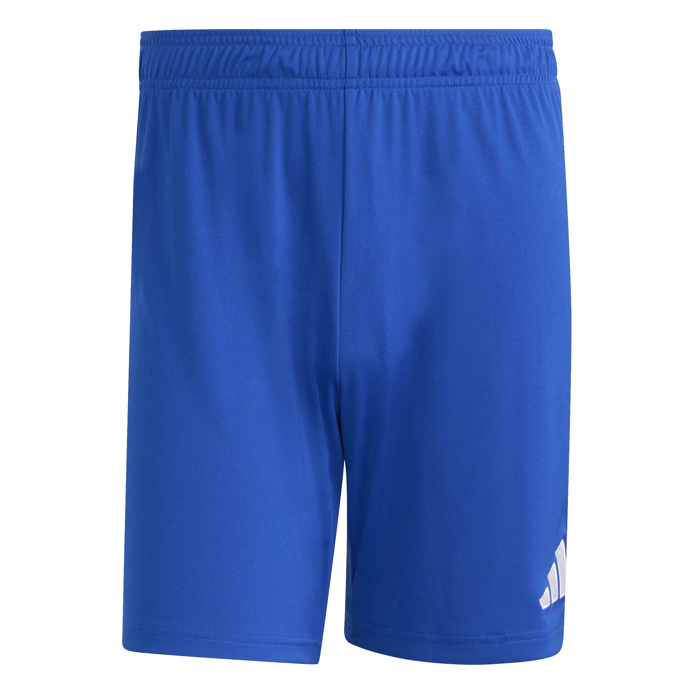 Entrada26 Shorts 8