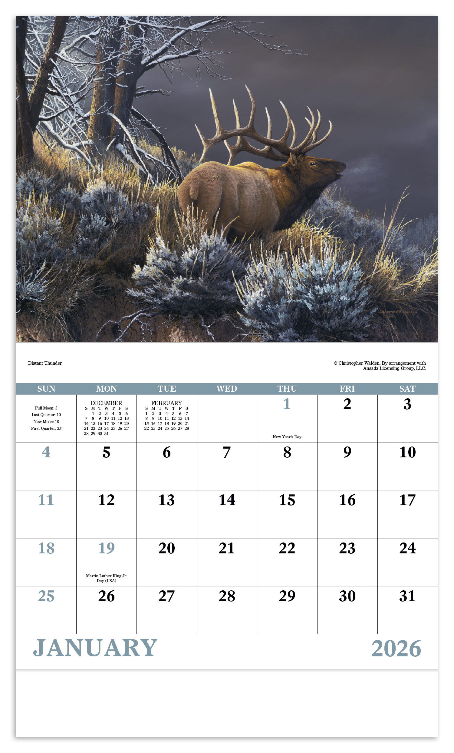 Good Value™ Wildlife Canvas - Stapled Calendar 15
