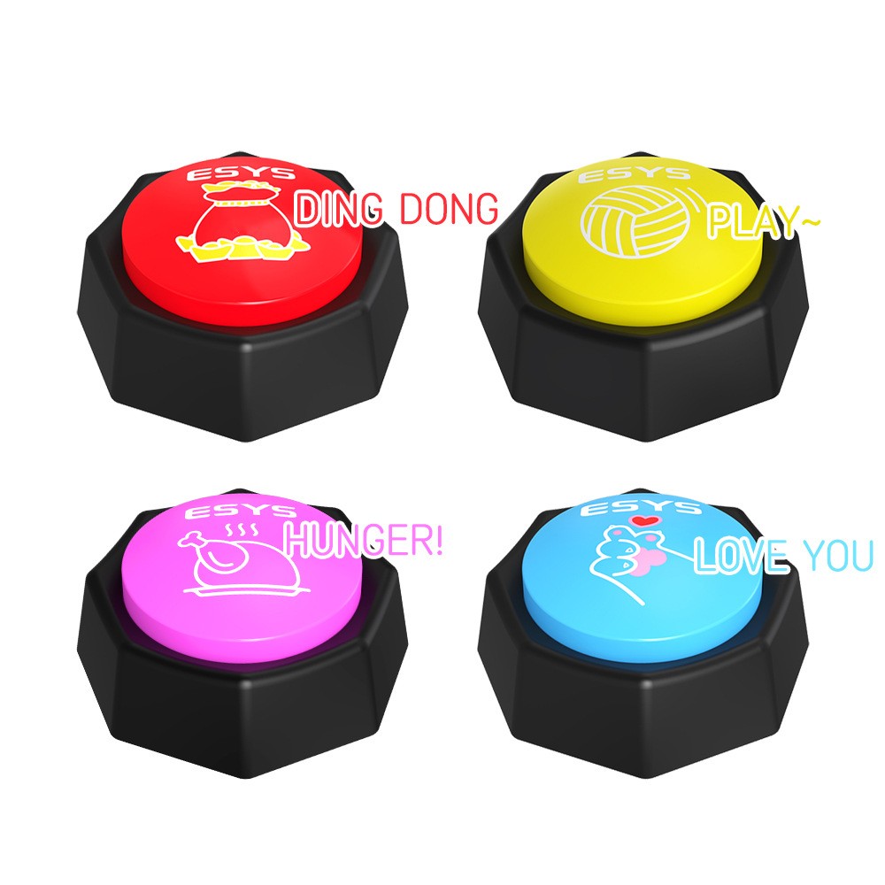 Custom Sound Recording Button 2