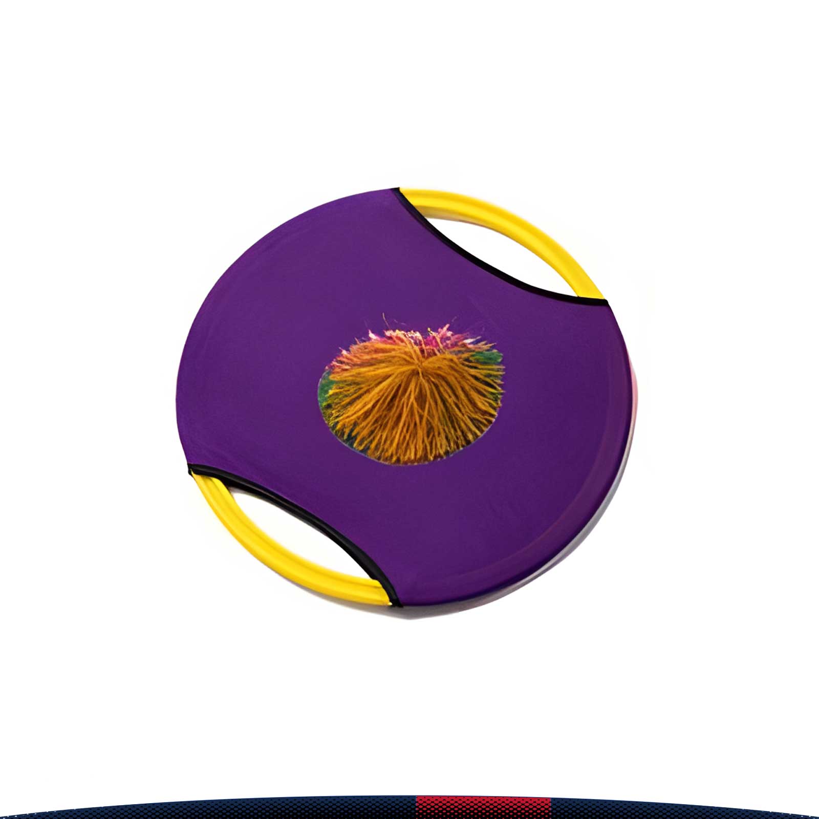 Ball Throwing Disc 6