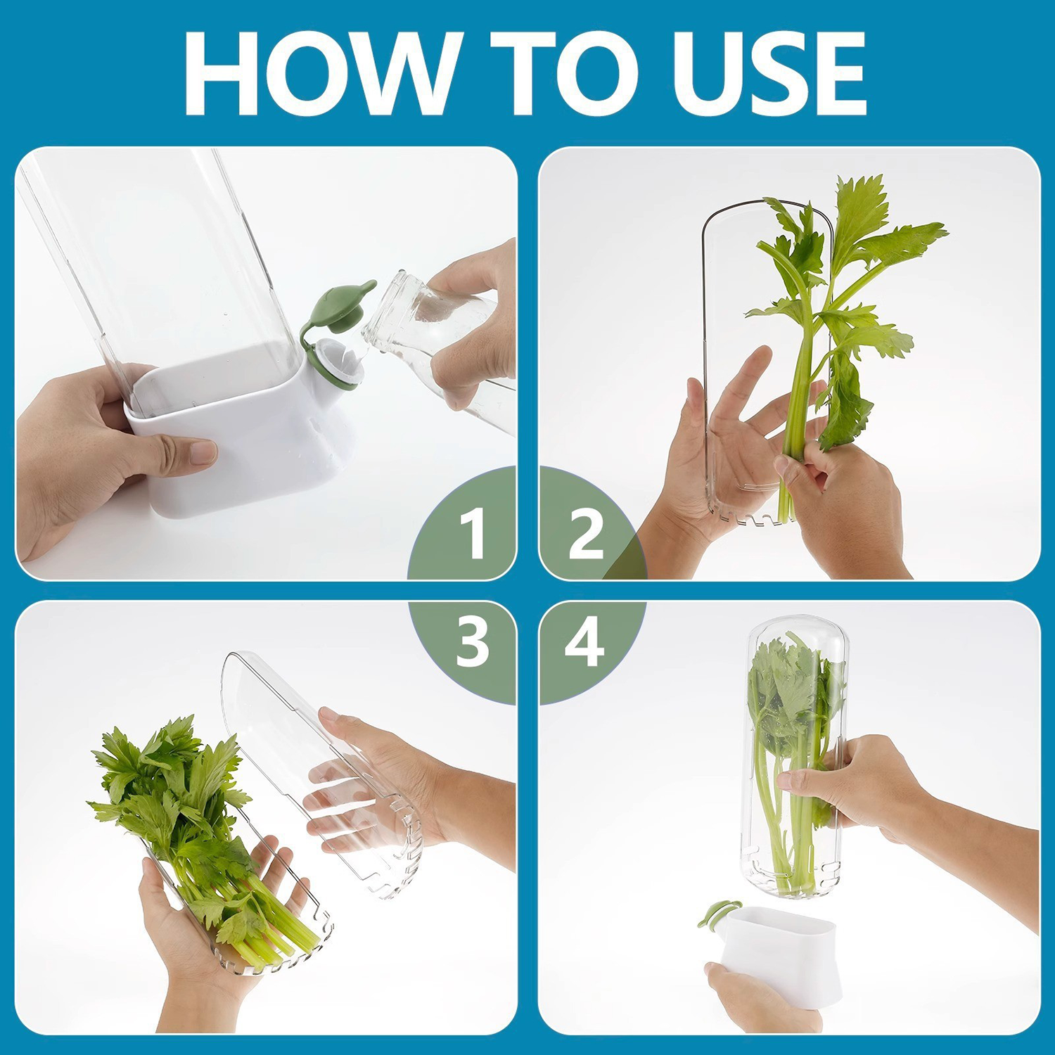 Vegetable Fresh-Keeping Box 2