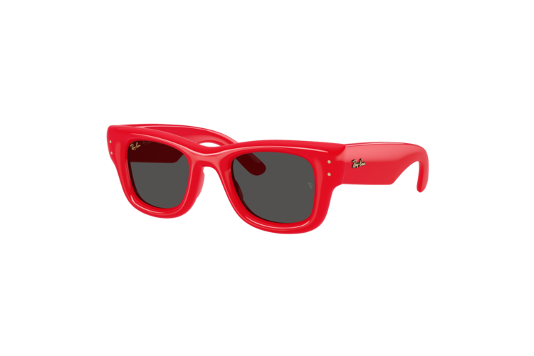 Ray-Ban Wayfarer Puffer Sunglasses 1