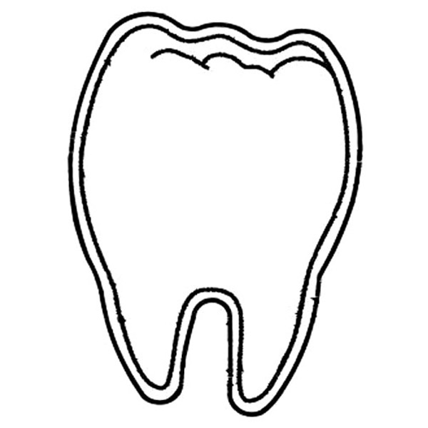 Tooth Magnet - Full Color 2