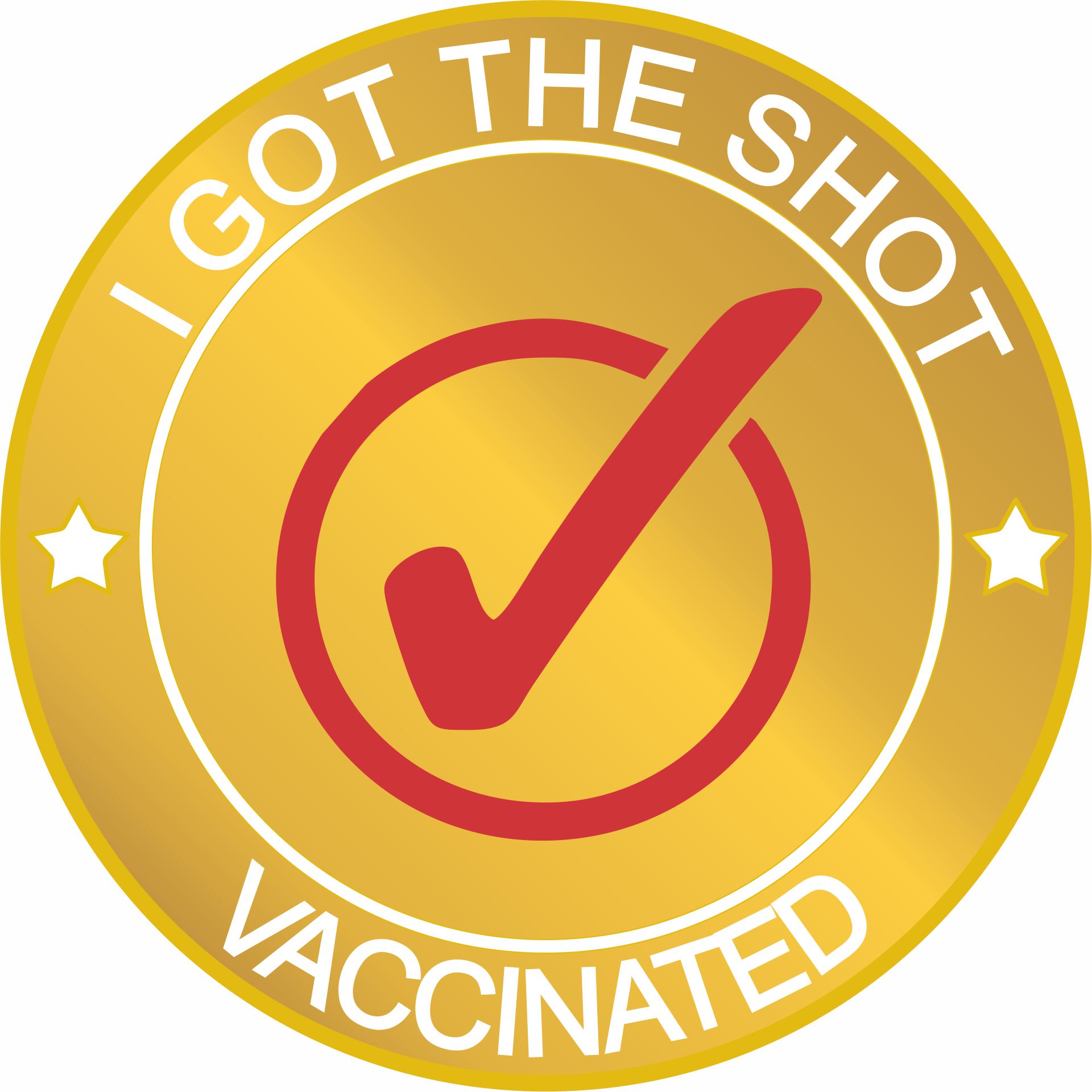 COVID 19 Vaccinated Lapel Pin 3