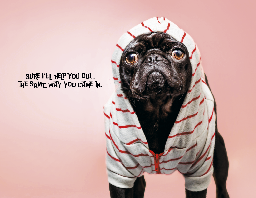 Good Value™ Pets with Attitude - Spiral Calendar 11