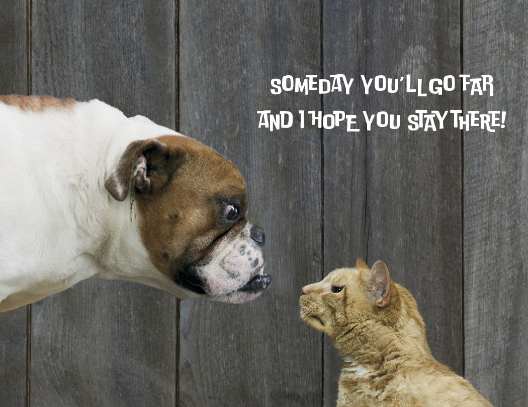 Good Value™ Pets with Attitude - Spiral Calendar 41