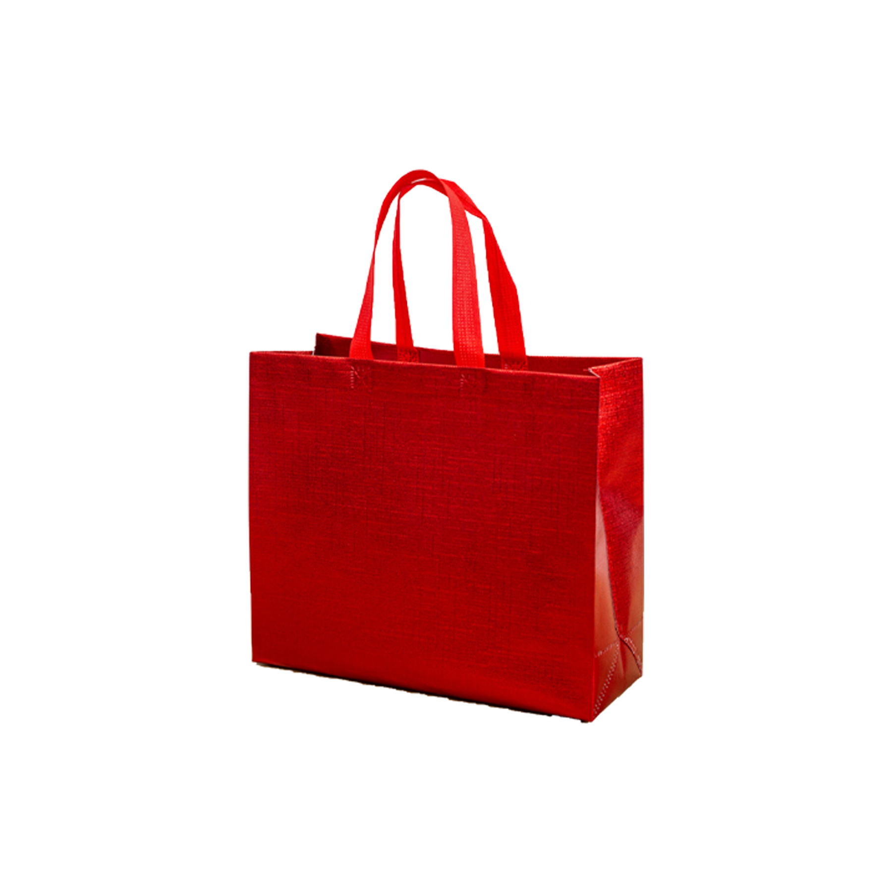 Shiny Reusable Shopping Bag 2