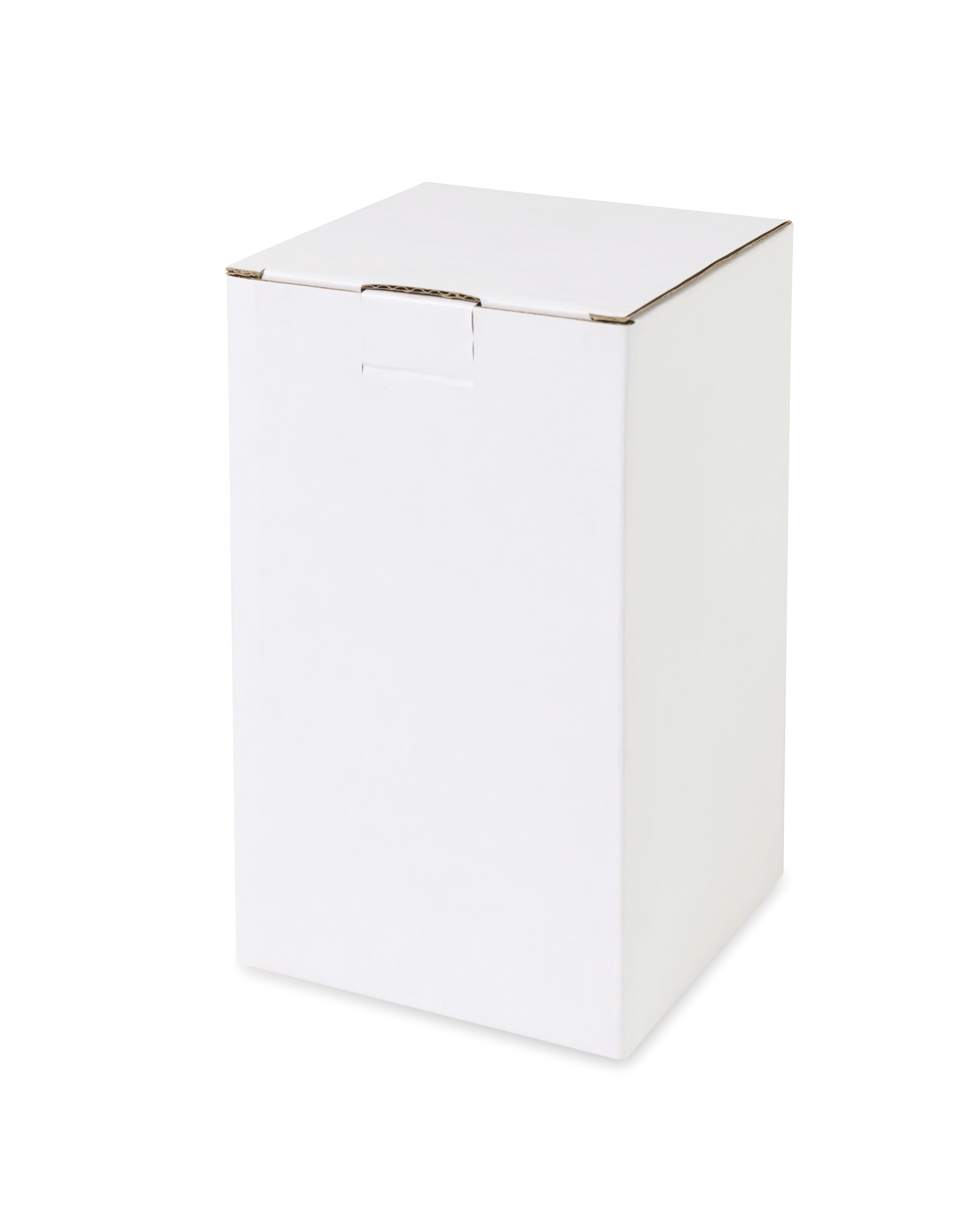 Modern Sprout® Plant Parent Mister 8