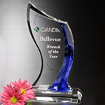 Potomac Indigo Award 8
