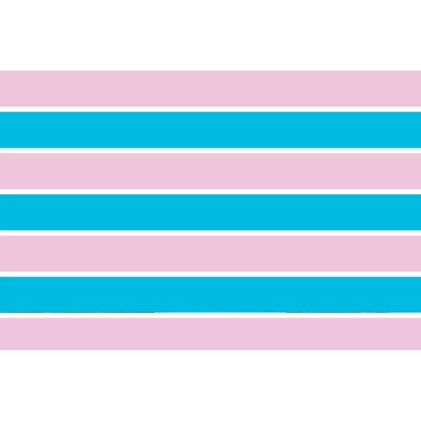 Transsexual Motorcycle Flag 1