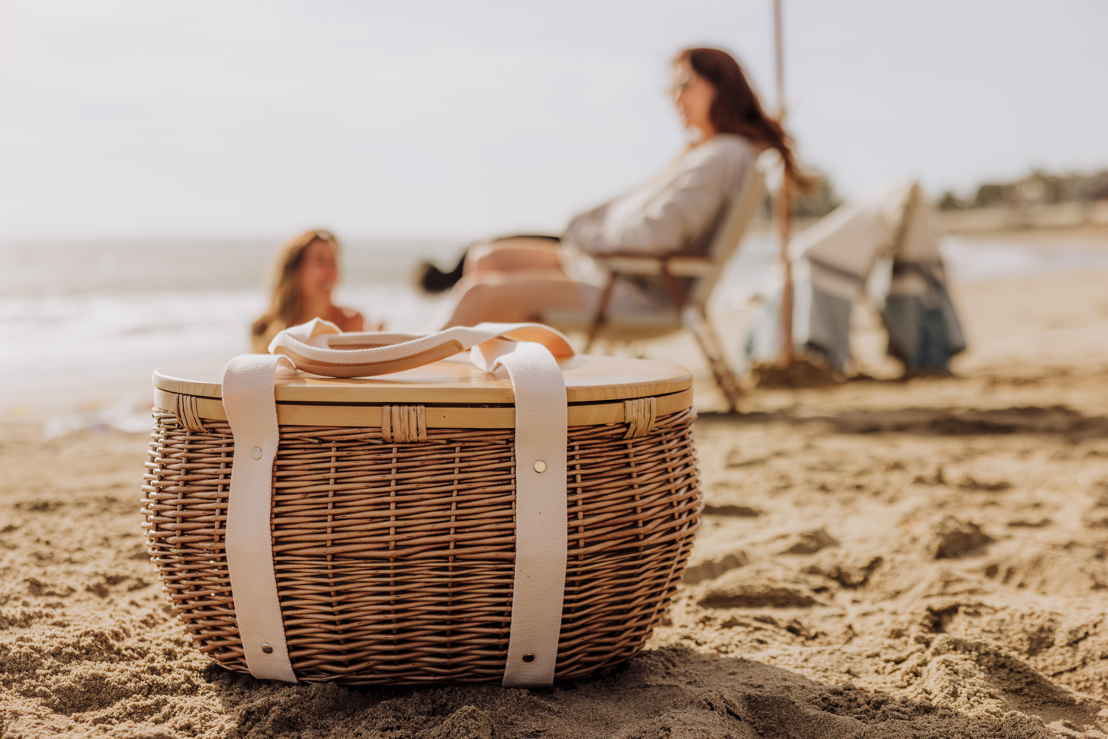 Castaway Insulated Cooler Picnic Basket 3