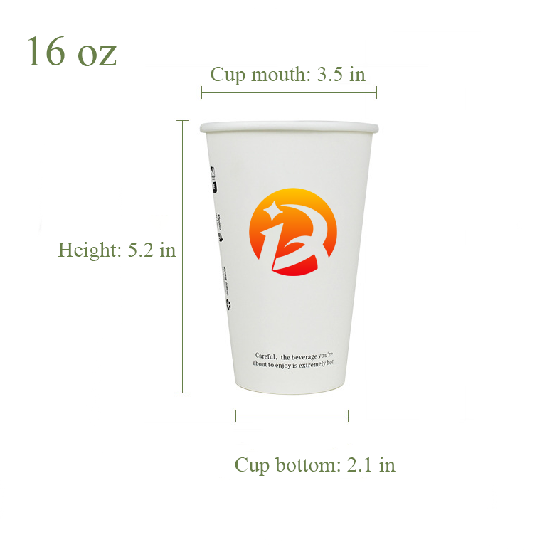 16 oz disposable coffee paper cup with lid 6