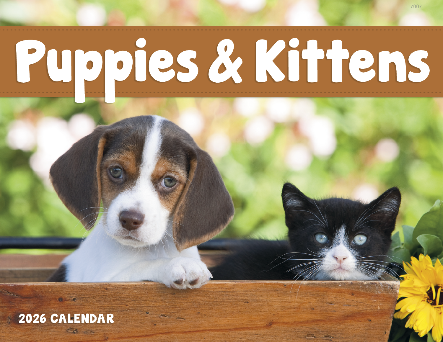Good Value™ Puppies & Kittens - Window Calendar 18