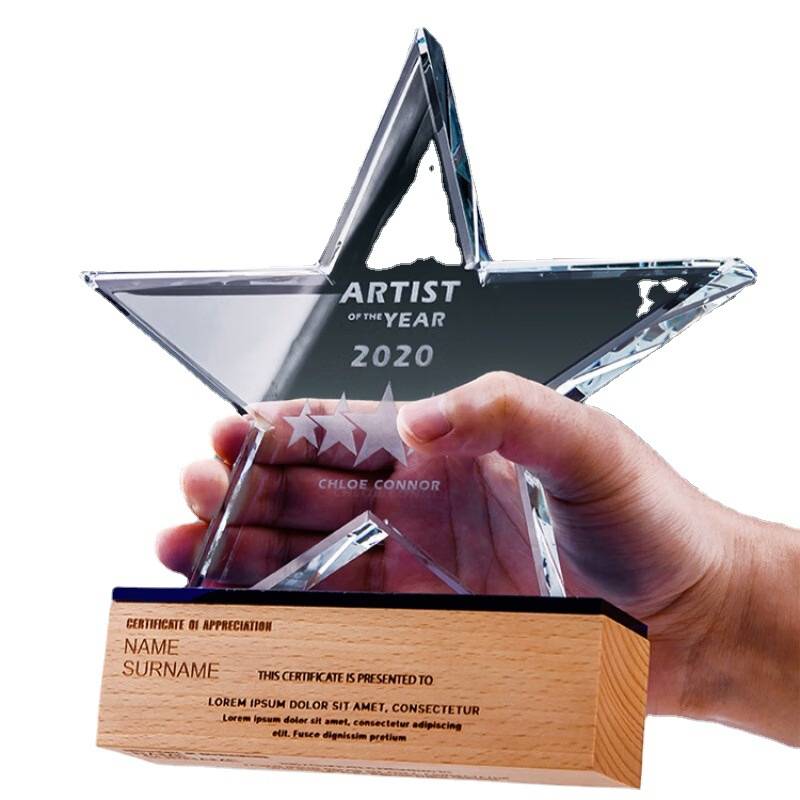 Iceberg Star Award 5
