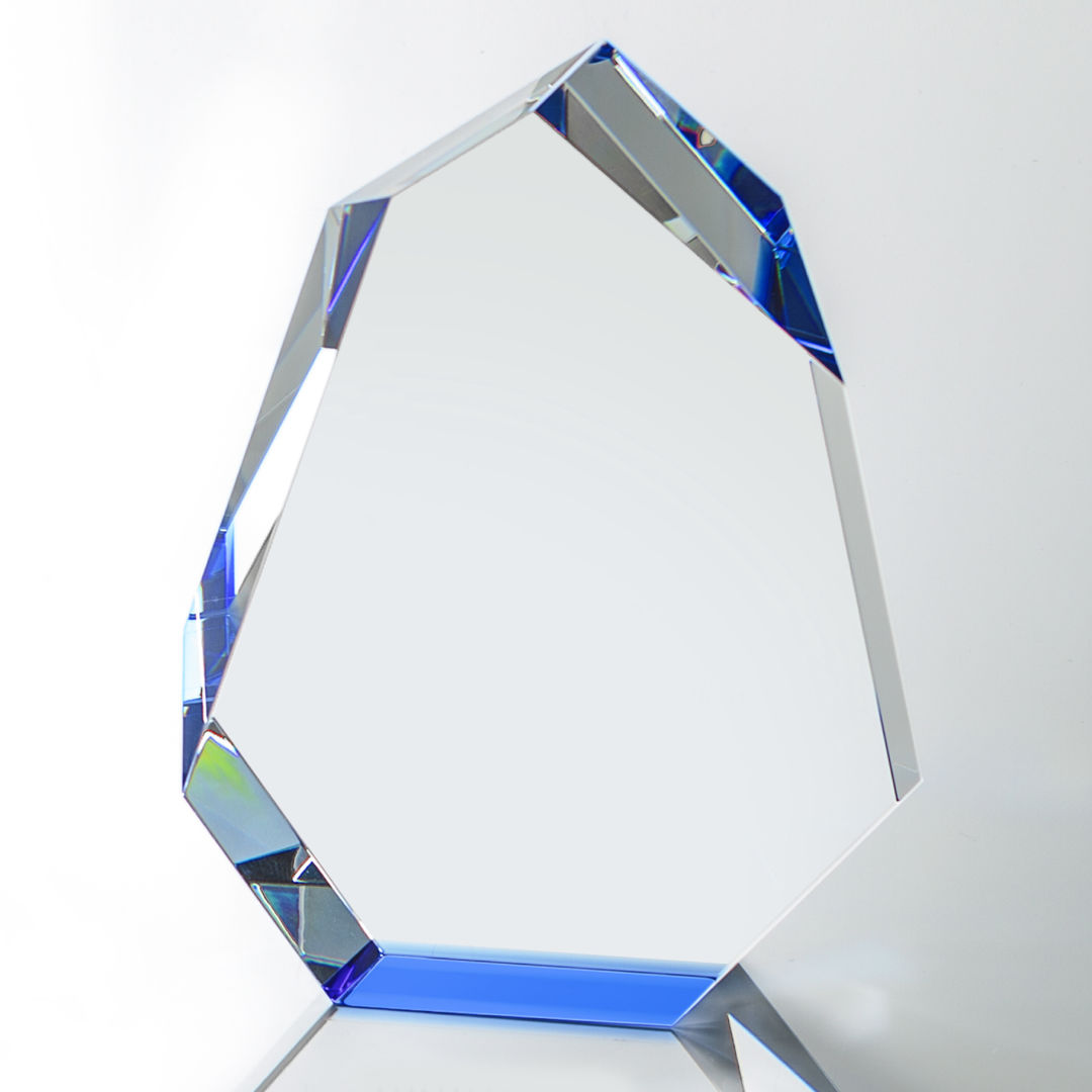 Norwood Award - Blue 3