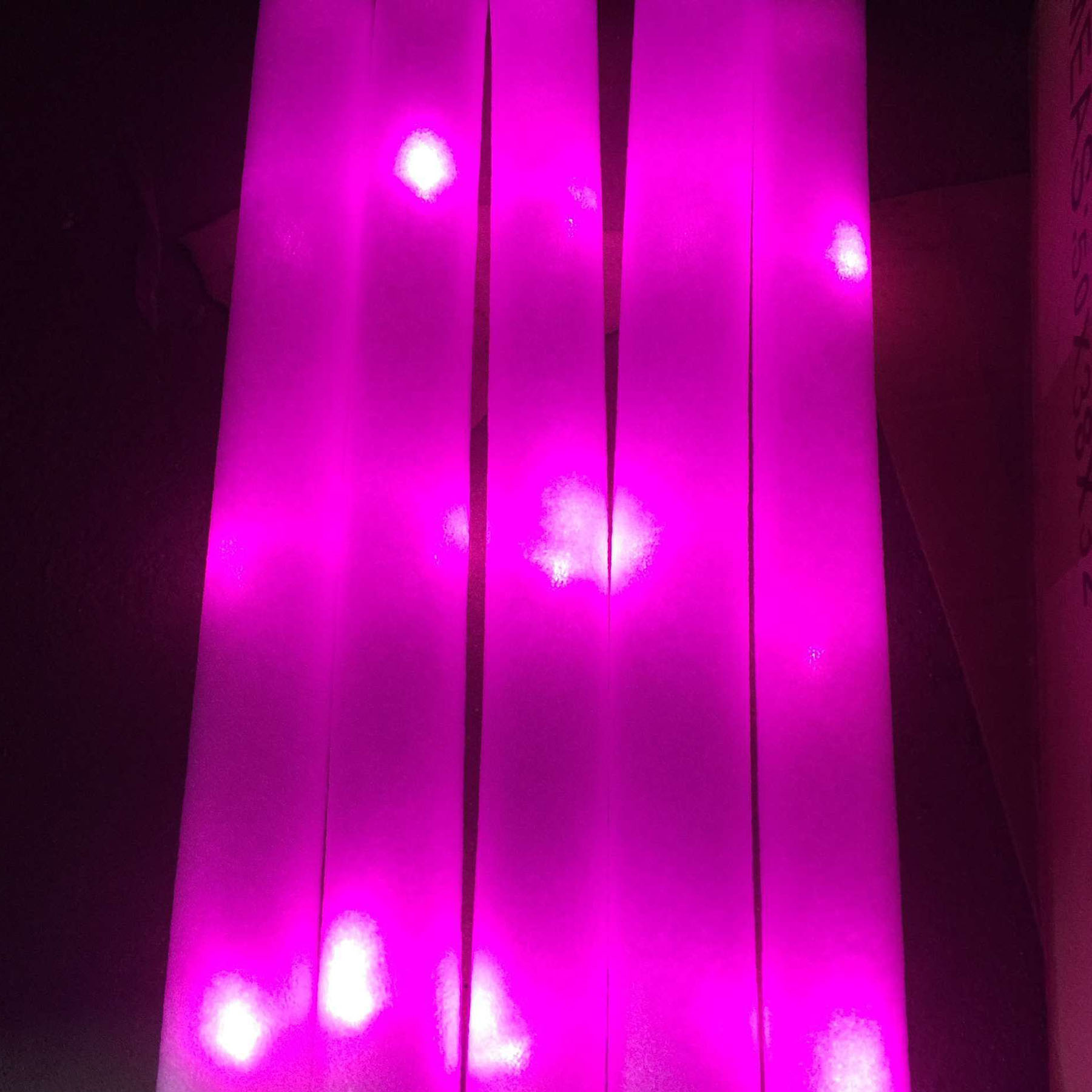 Foam Glow Sticks 3