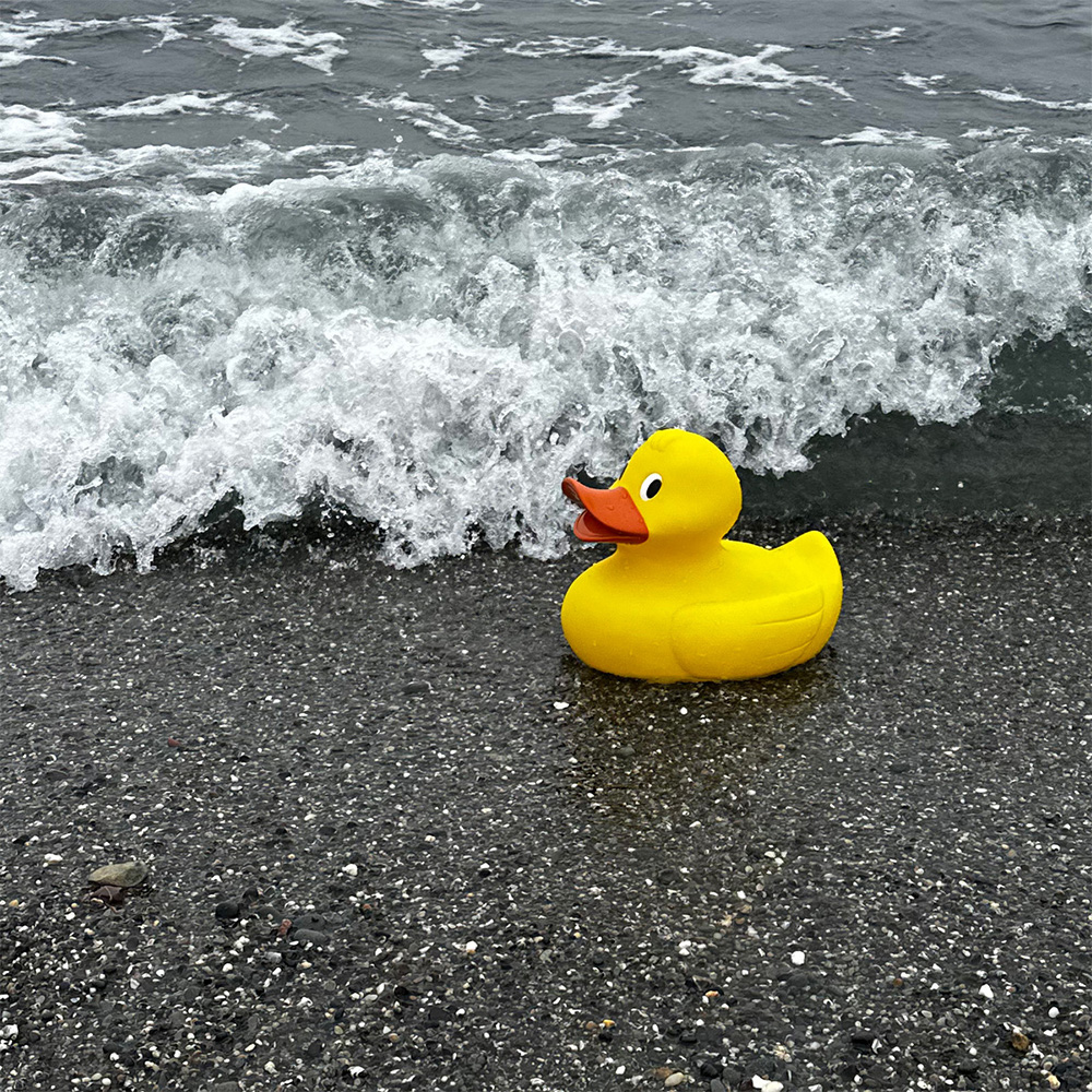 Jumbo Duck 10