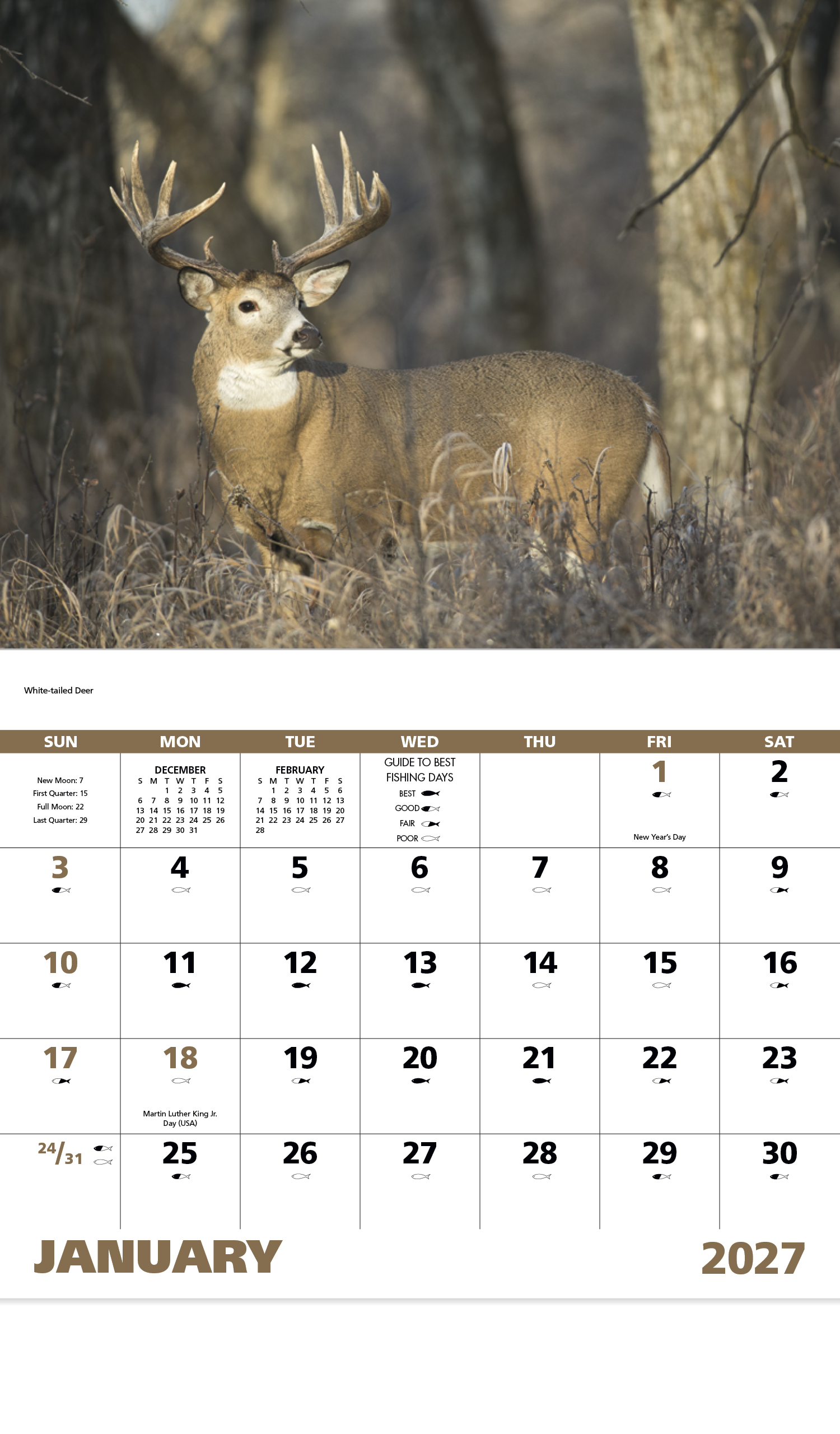 Good Value™ Wildlife Portraits - Stapled Calendar 30