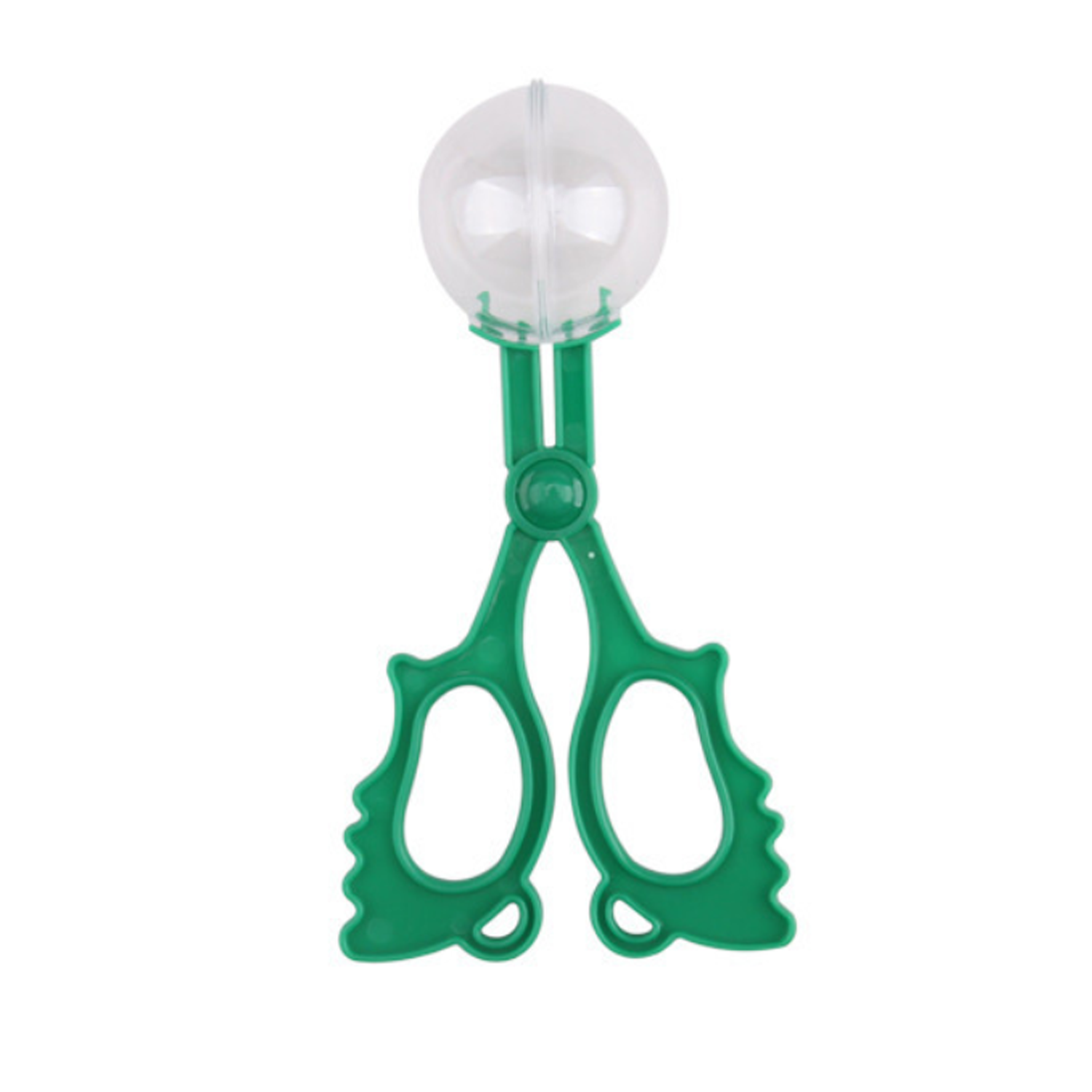 Butterfly Shaped Insects Clamp 4