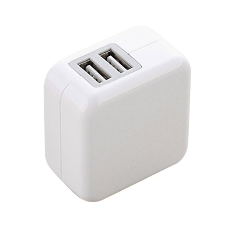 Dual USB Foldable AC Adapter for Travel 10
