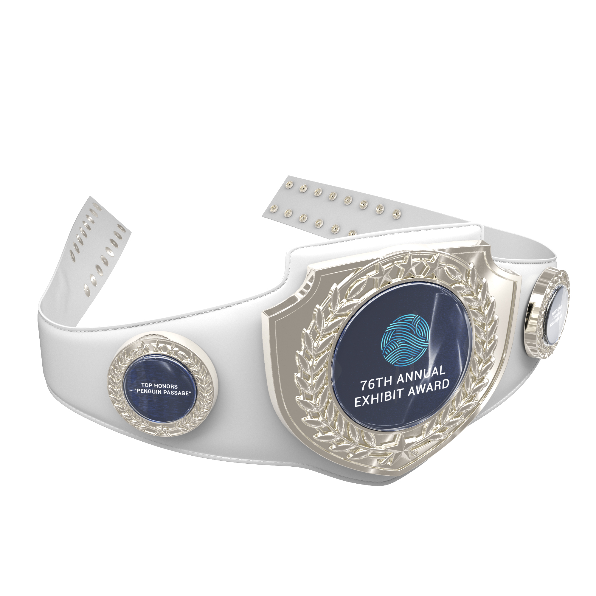 Express Vibraprint® Bright Silver Champion Award Shield Belt 14