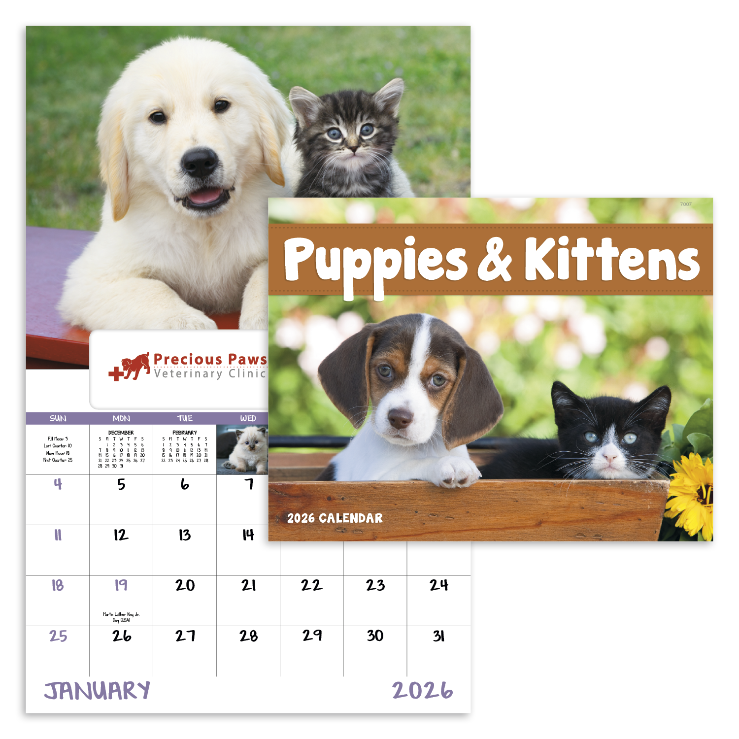 Good Value™ Puppies & Kittens - Window Calendar 53