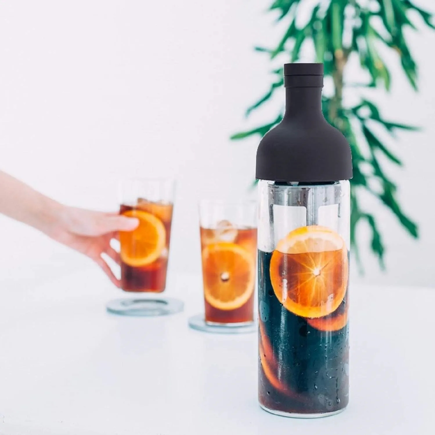 Hario Cold Brew Bottle 7