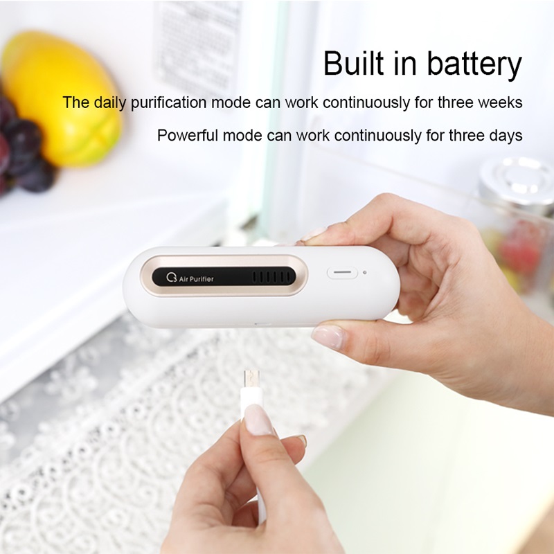 Ozone Air Purifier 3