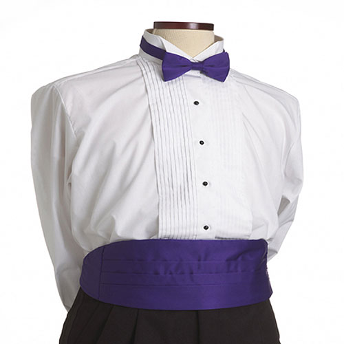 Purple Cummerbund 2