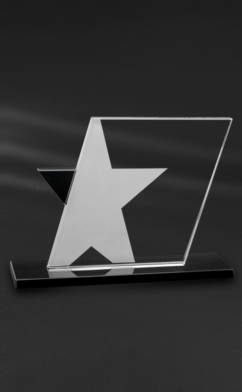 Ebony Star Award 3