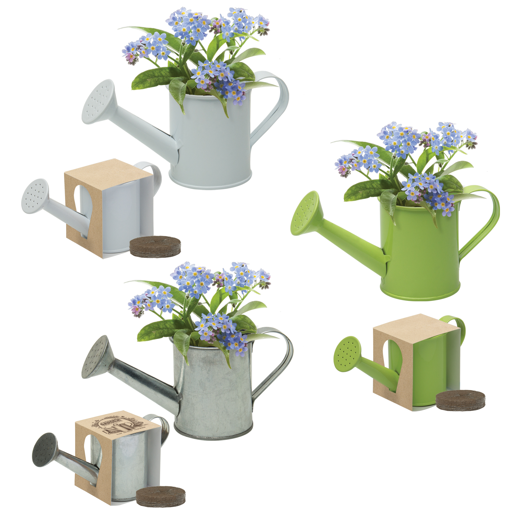 Mini Watering Can Blossom Kit 25