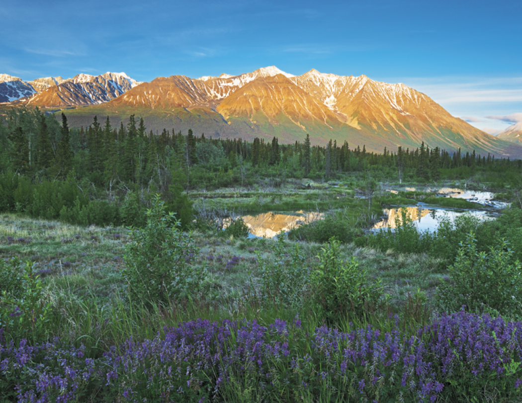 Good Value™ Scenic Canada - Window Calendar 44