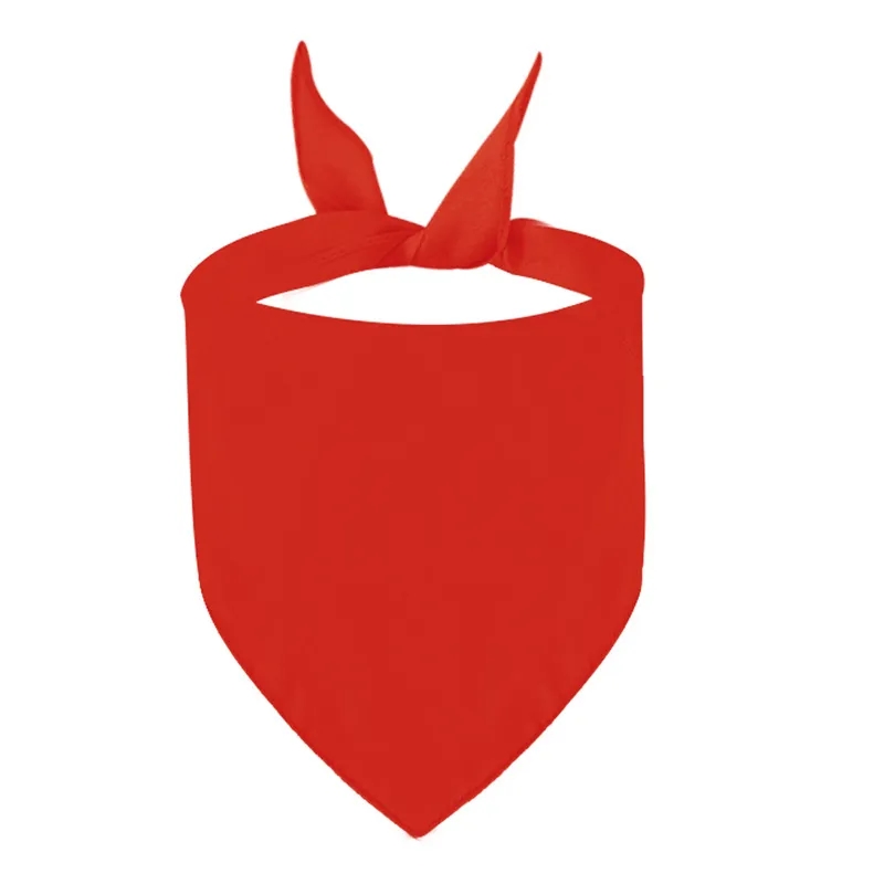 Triangle Pet Bandana 5