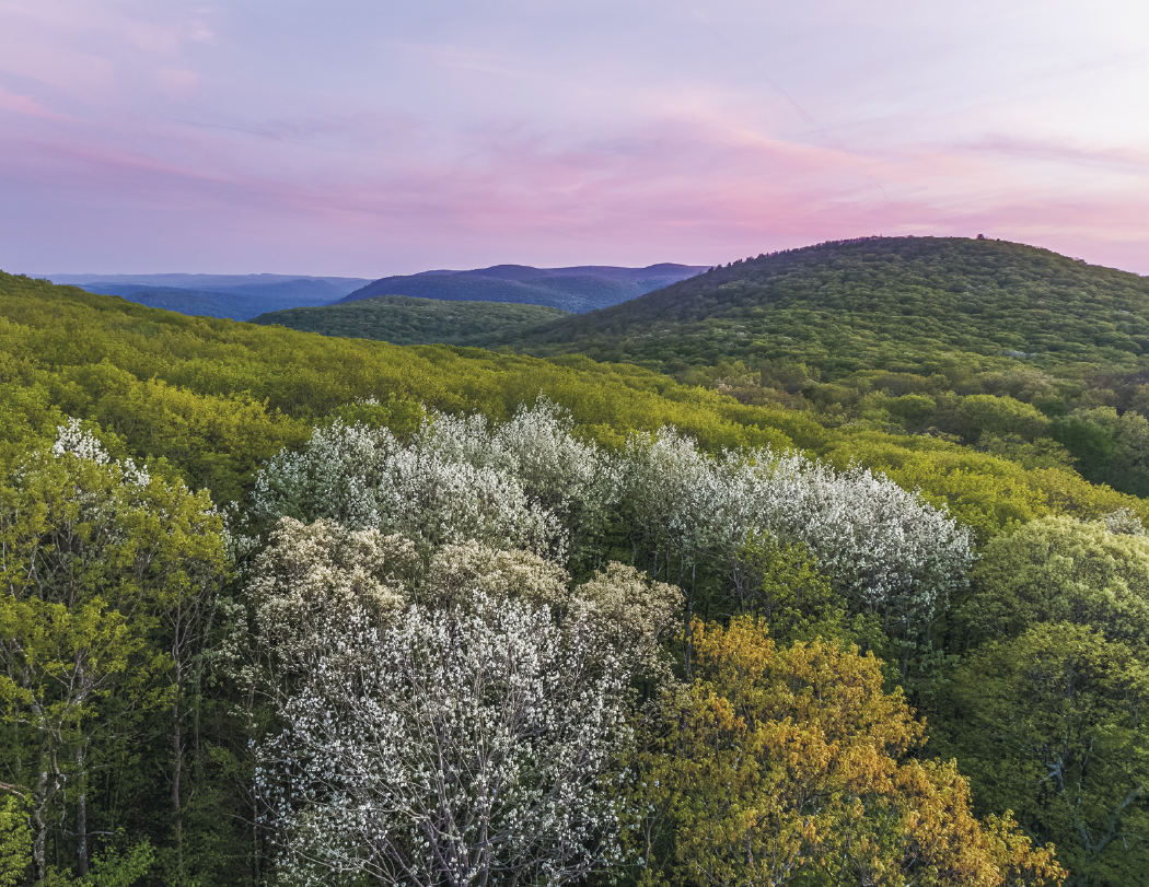 HotLine® Products New England Appointment Calendar - Spiral 11