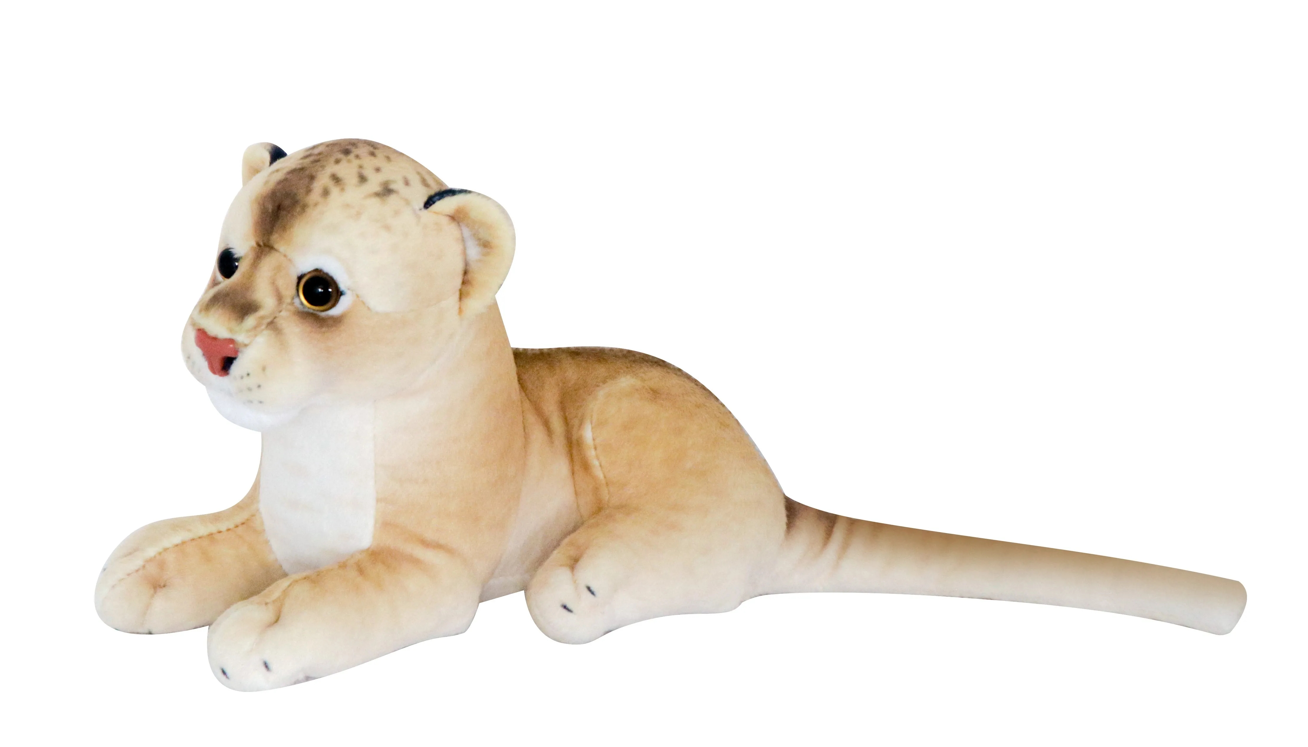 Sitting Lion 1