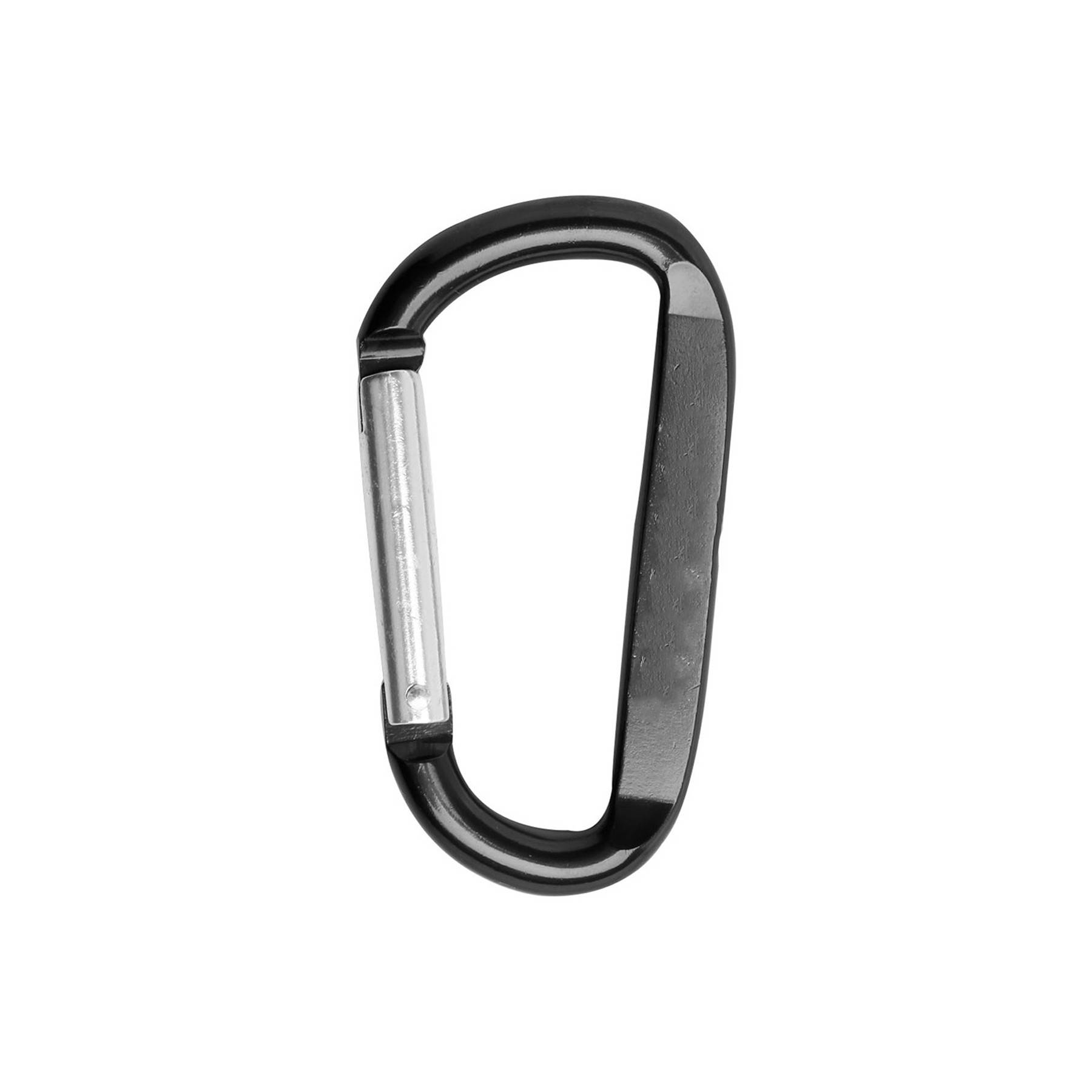 Carabiner Key Chain 2