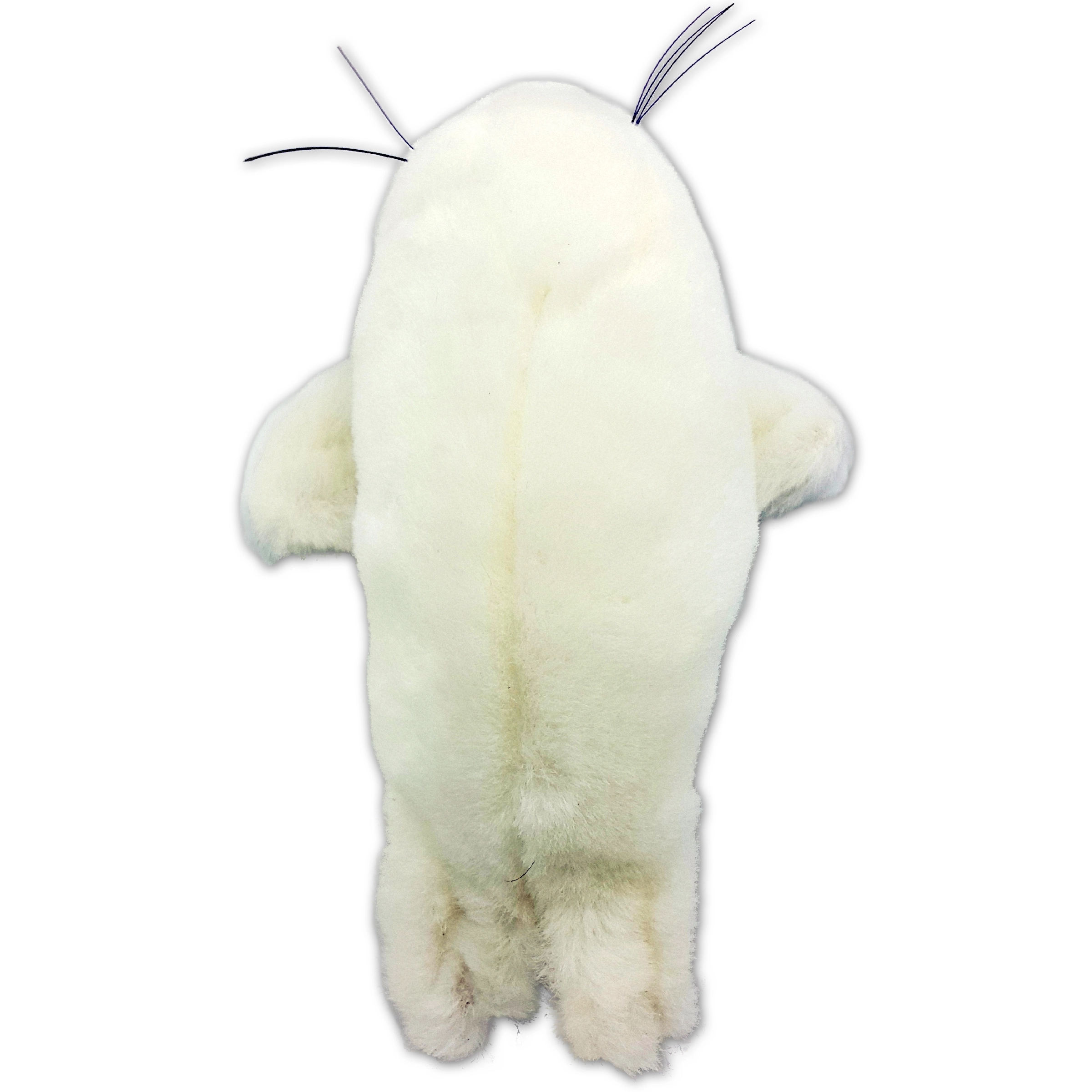 6-8" Sea Life White Seal 4