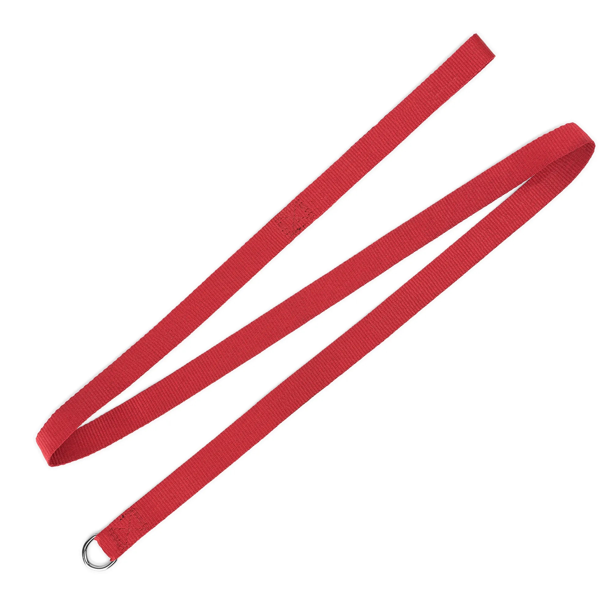 Dog Leash 10