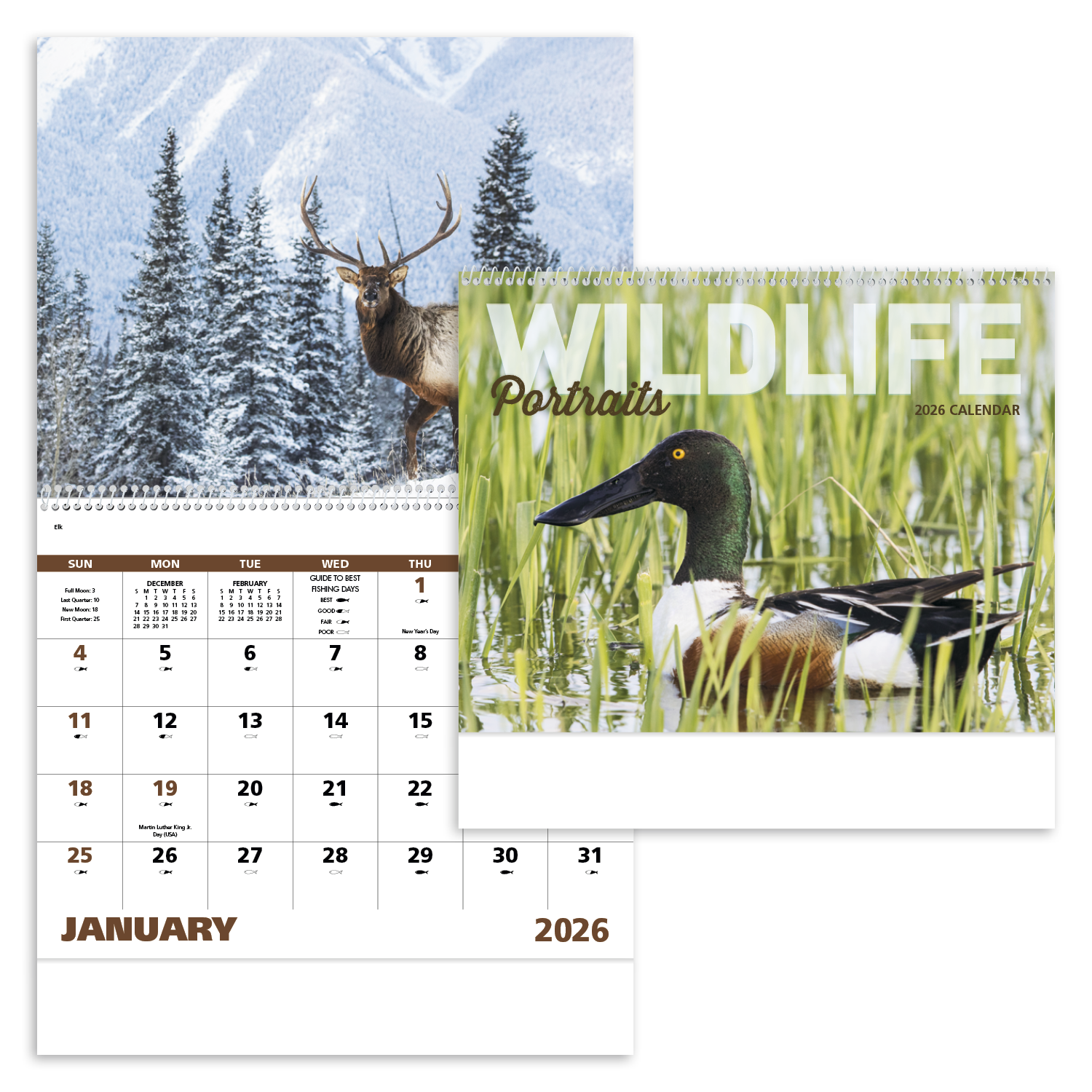 Good Value™ Wildlife Portraits - Spiral Calendar 37