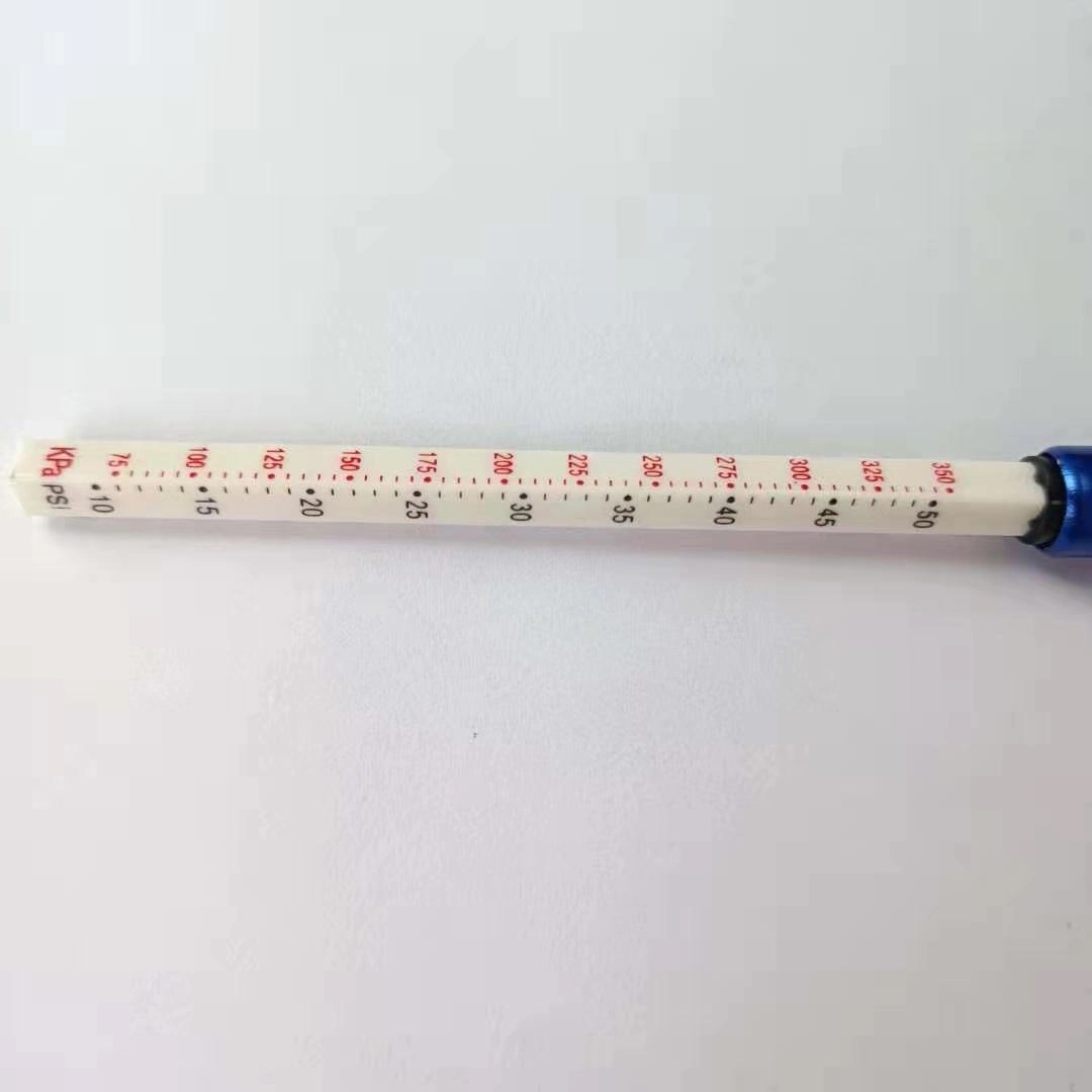 Portable Tire Pressure Gauge 8
