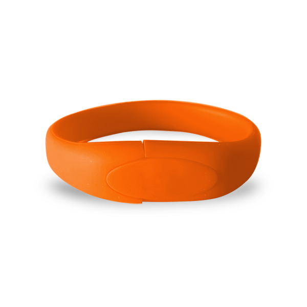 Warrenville Silicon Wristband USB Flash Drive 12