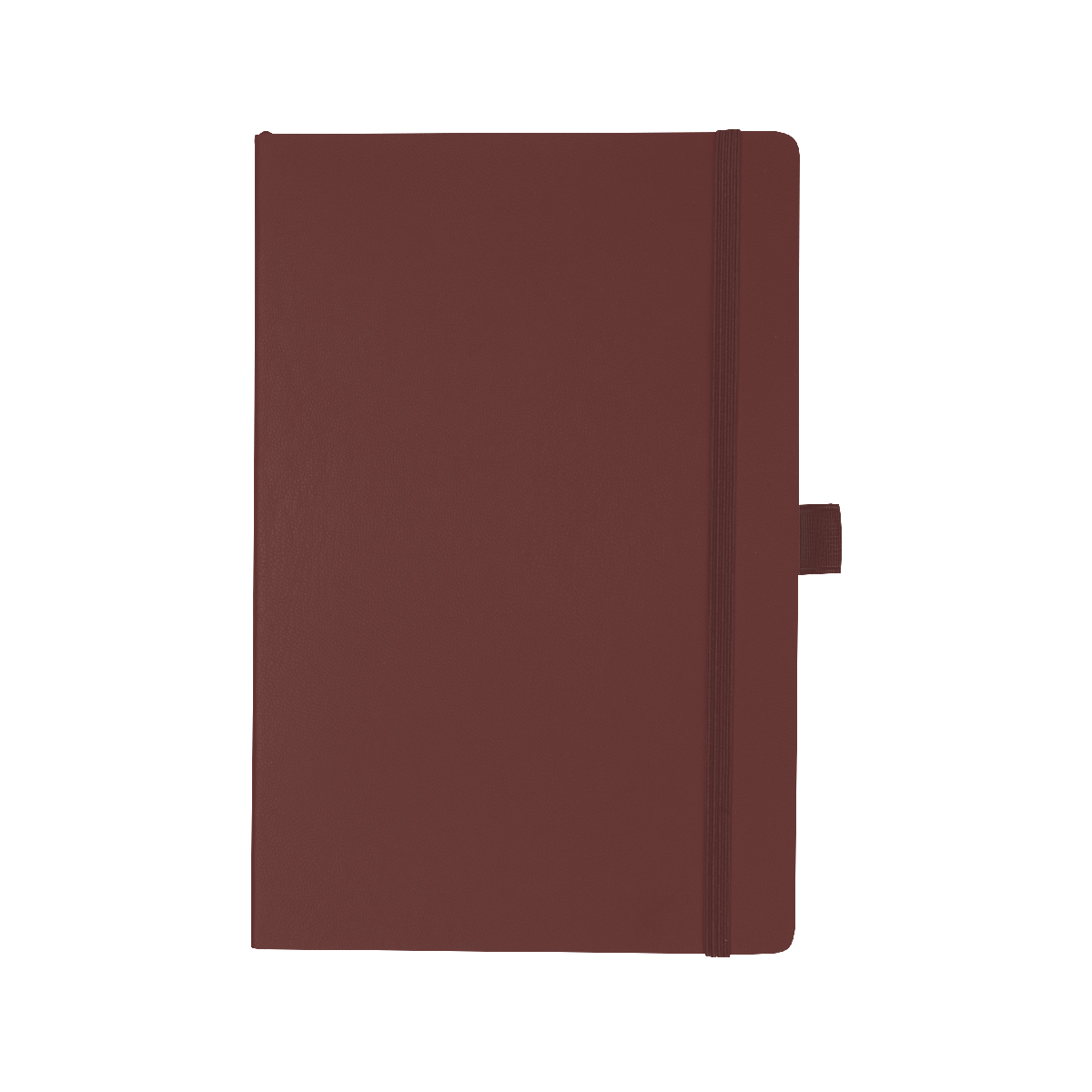 Apple Skin Journal 12