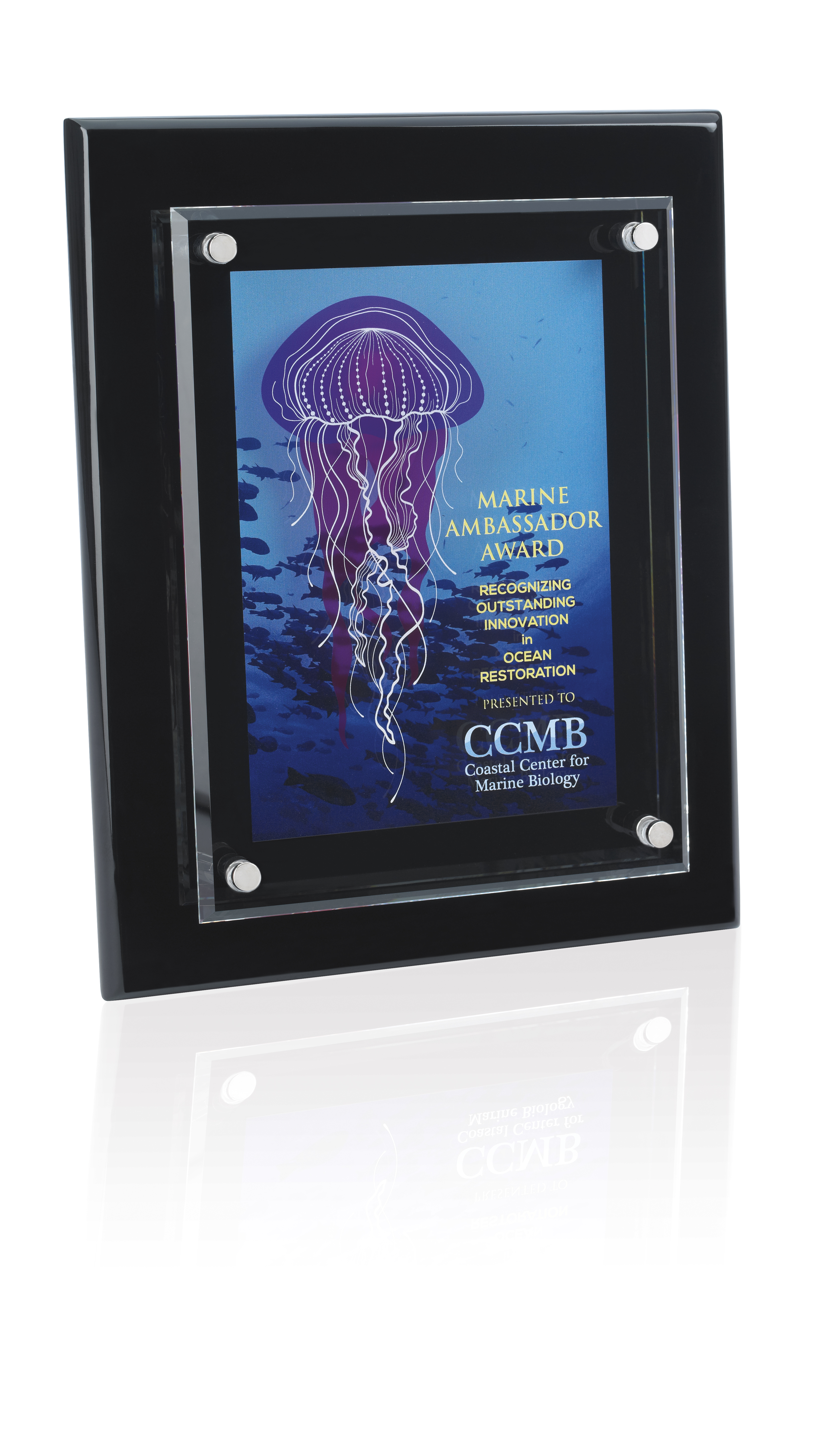 JAFFA® Floating Glass Plaque - 8" x 10" 10
