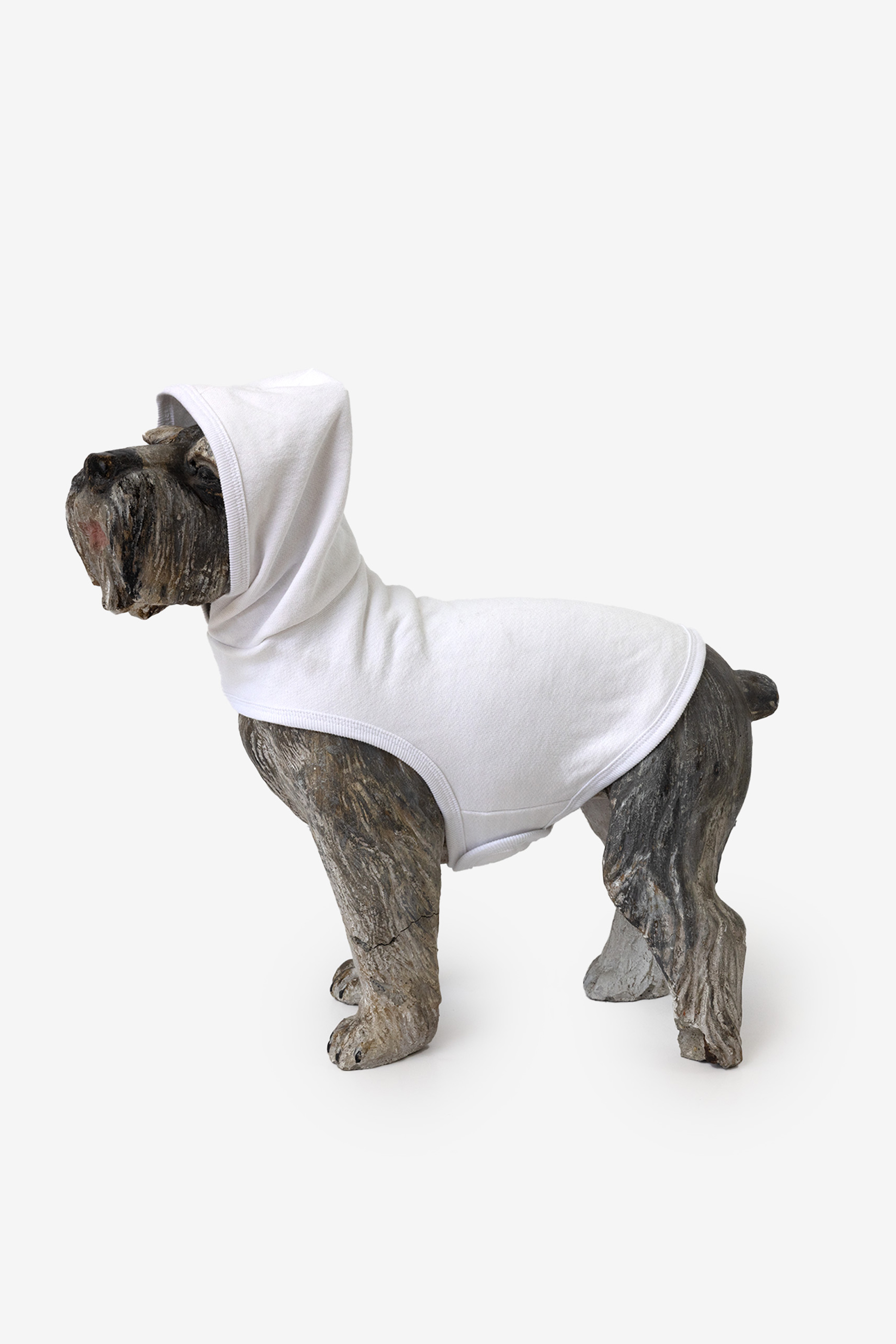 DOGSWEATER 1
